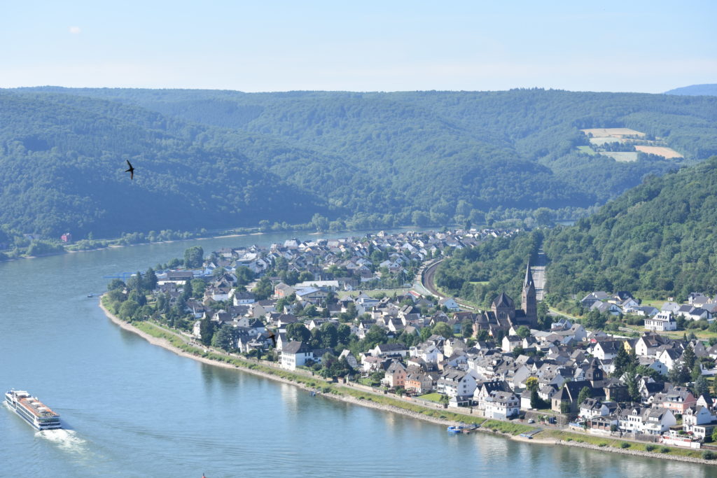 rhine river excursions